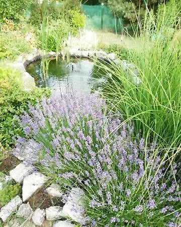 Sunfish Διαμέρισμα Balatonszarszo