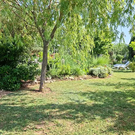 Sunfish Διαμέρισμα