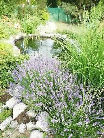 Sunfish דירה באלאטונסארסו